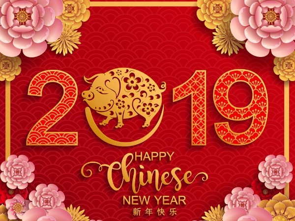 金豬送喜辭舊歲，雙志陪您慶新春！